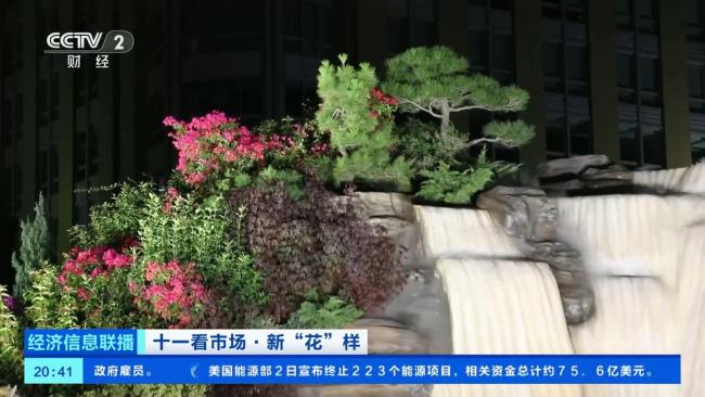 今年天安门广场巨型花篮有什么新“花样”？