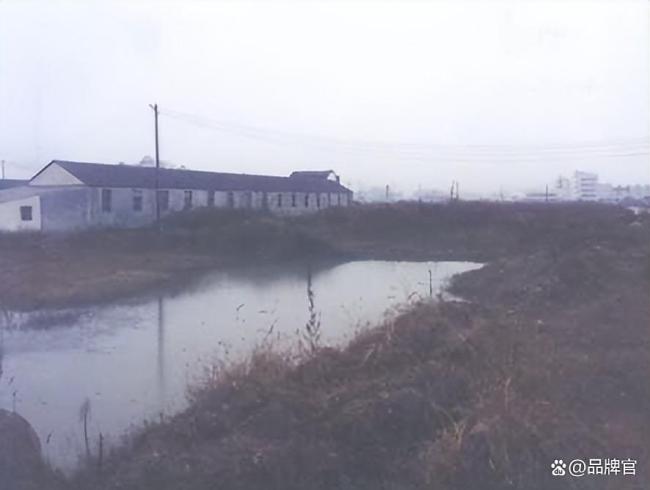 奇瑞终于圆了上市梦 历经21年终上岸