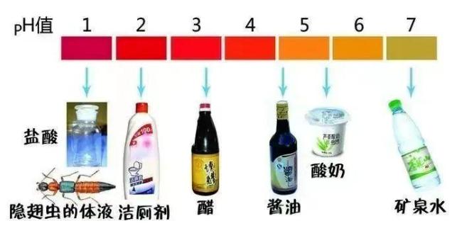河南多地现“行走的硫酸” 隐翅虫北伐警示