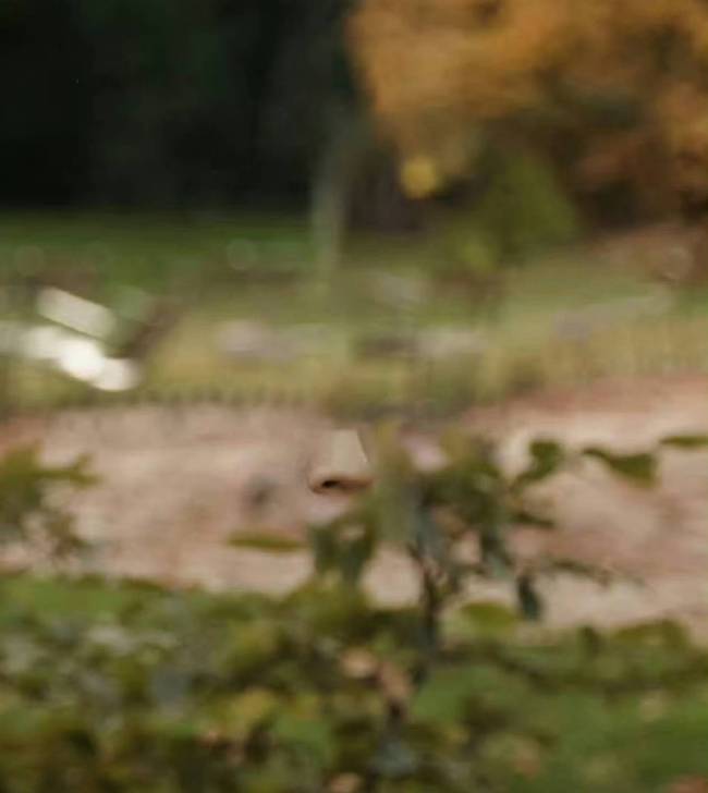 王俊凯工作室修图遗落了个鼻子 年度最搞笑修图事故