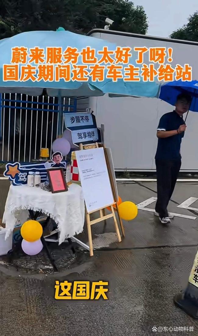 国庆假期新能源车企“拼”补能服务 理想蔚来优势明显