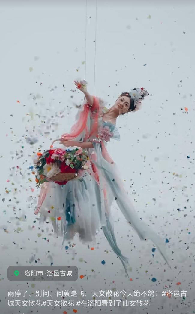 景区回应仙女散的是假花 网友热议美丽与环保