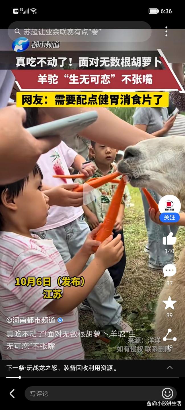 动物园回应羊驼不张嘴是吃撑了 游客过量投喂引关注