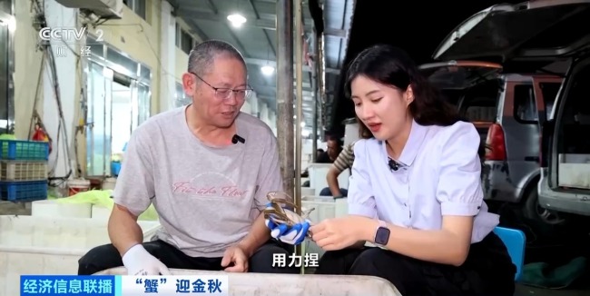 月收入2万“金牌🥇挑蟹师”如何选螃蟹 30年经验揭秘