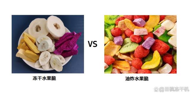 冻干果蔬脆和低温油炸果蔬脆有什么区别