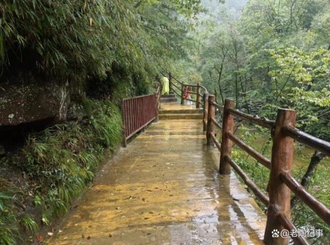 小伙爬山抬头瞬间救了个孩子 景区安全引反思