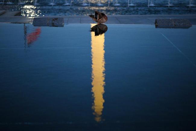 特朗普政府在全美机场播放责难视频 归咎民主党引发争议