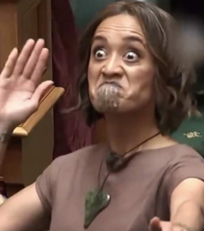 新西兰女议员议会首秀高唱毛利战歌 引发议会临时休会