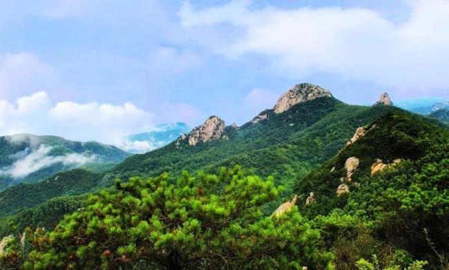 山东多处景区因降雨推出晴天险 雨中游园更添保障
