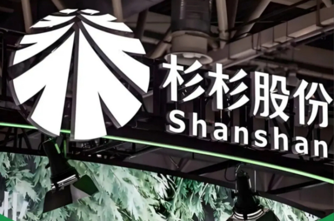 杉杉系继子后妈内斗无赢家，“民营船王”或成“接盘侠” 锂电巨头迎新主