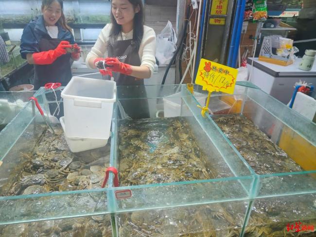 批发商回应大闸蟹价格跳水 预计后续稳中有降