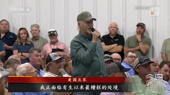 美豆滞销陷绝境,国人献策种大麻！