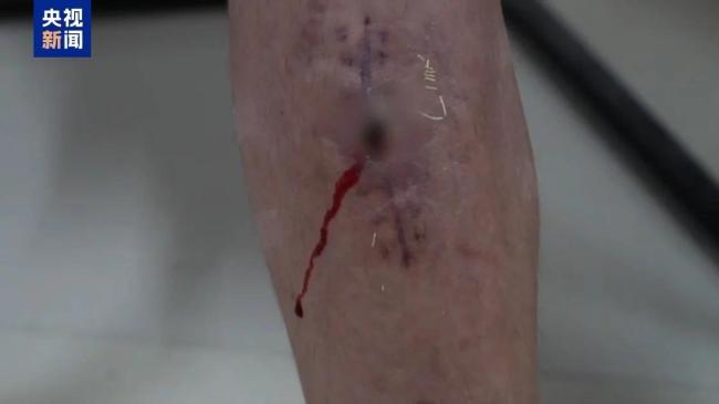 缅北魏家供述:中国籍员工是重要资源,武装力量有编制、接班人杀人祭天