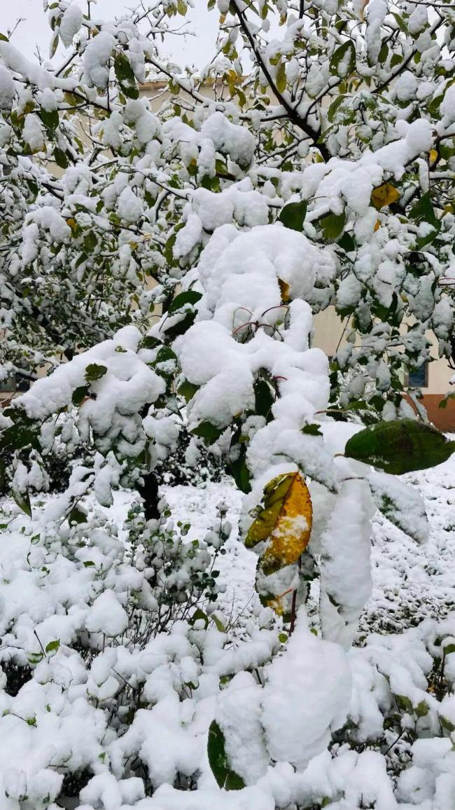 多地迎剧烈降温！大雪大暴雨来了 换季式降温来袭