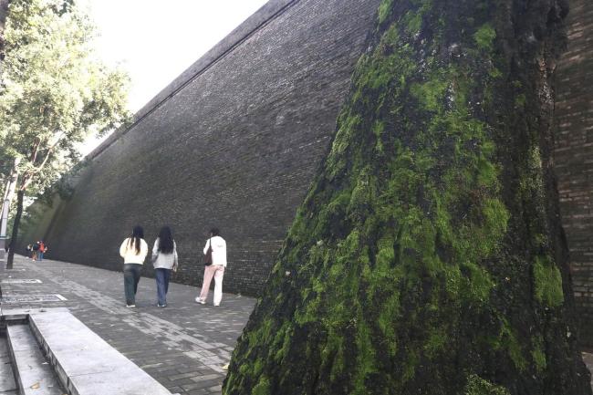 雨带北移 重构生态边幅的“大考”