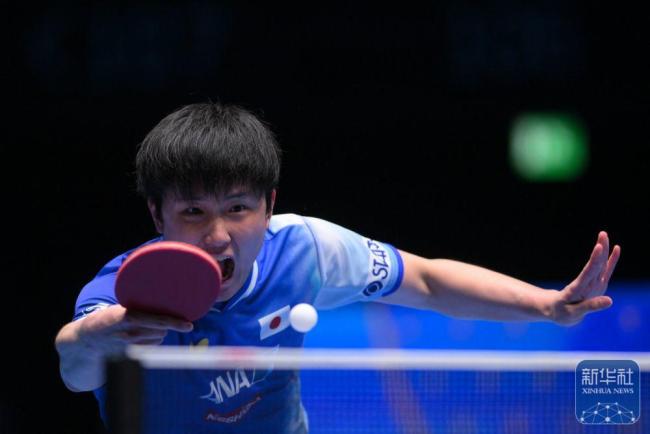 張本智和上演“過山車”式心態(tài)崩盤 從天堂墜入地獄