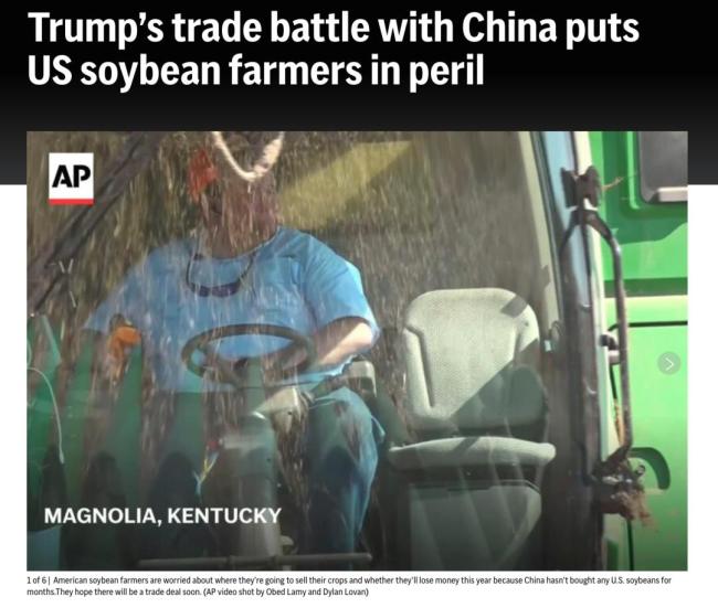 从大豆到食用油,美国在营造什么“叙事烟幕” 一意孤行损豆农