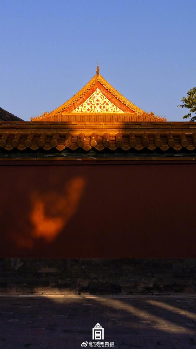 故宫深秋氛围感太绝了 静谧之美引人爱