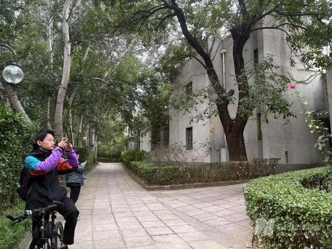 清华学生：杨振宁成就已超越诺尔贝奖 科学巨匠陨落