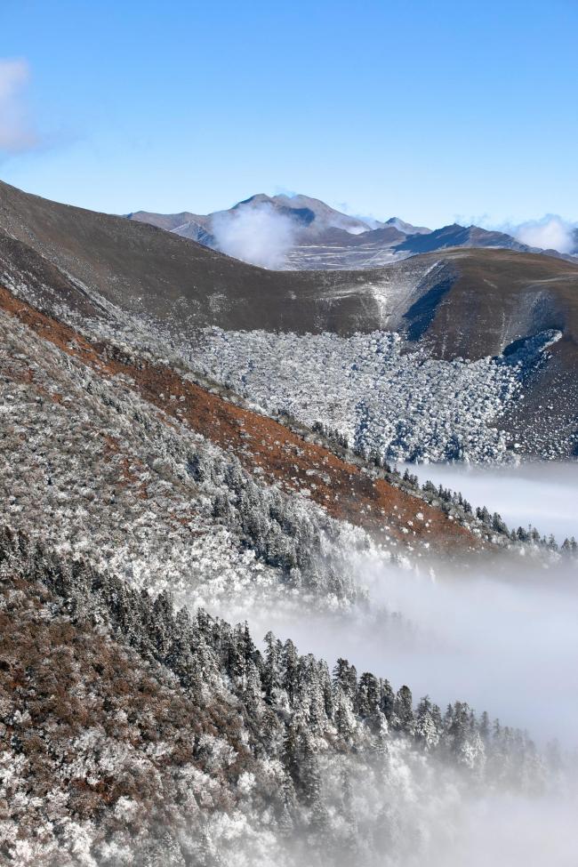北京海拔最高村庄迎来今冬首场降雪 自然奇观现场直击