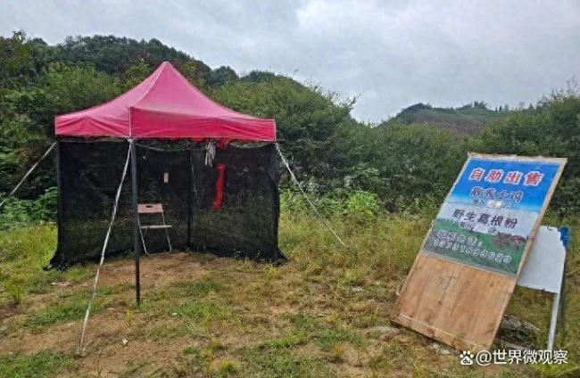 51岁大哥摆摊半年一分钱没挣