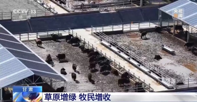借牧双方资源互补催生产业新模式