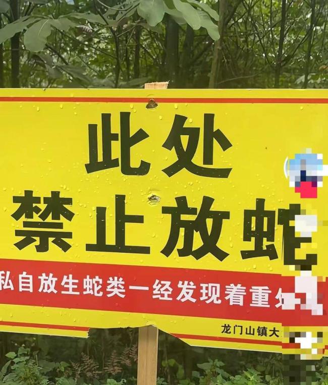 驴友登山发现大量“蛇出没”告示牌 疑似有人偷偷放生