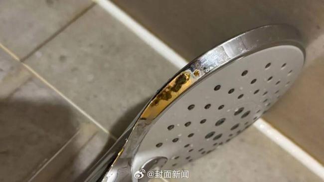 女子入住酒店发现花洒上有粪便