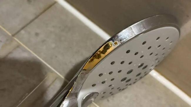 女子洗完澡发现酒店花洒上有粪便