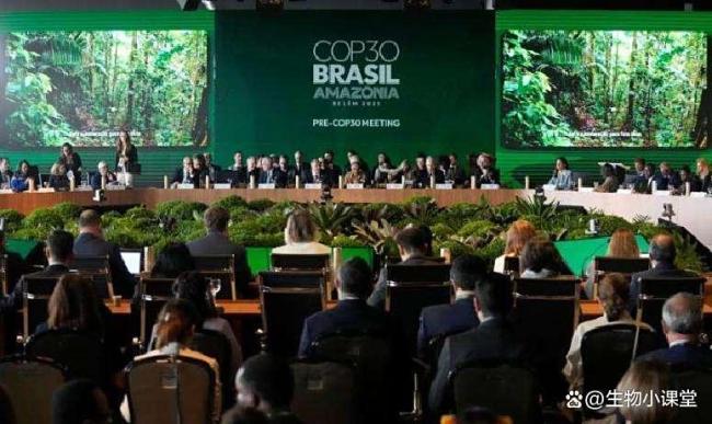 90%珊瑚礁濒临崩溃!群众气温升高1.4℃,为何形成如斯糟糕性后果