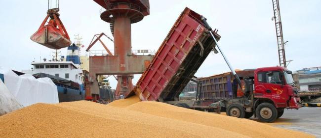 中国会重新采购美国大豆吗