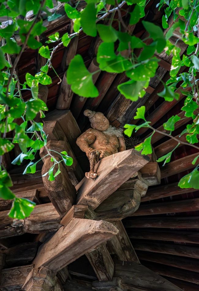 北方古城潮到发绿多少人急坏了 访古要趁早