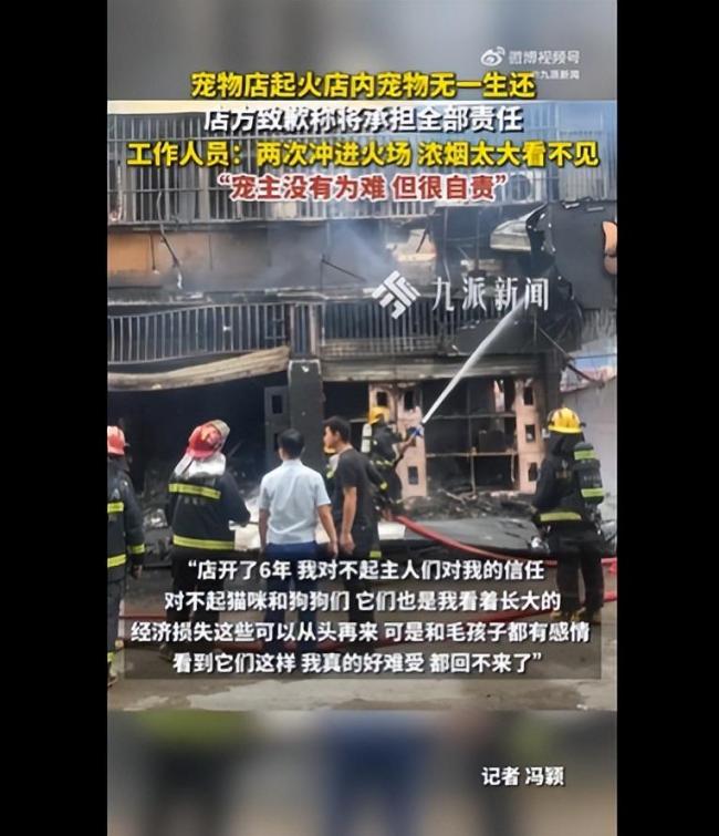 宠物店起火宠物无一生还 店主深感自责