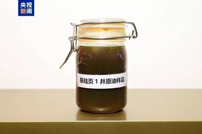 四川盆地发现亿吨级页岩油增储阵地 开启“下气上油”新格局