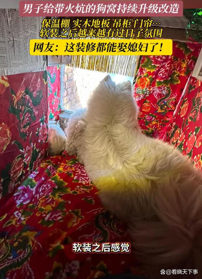 东北小狗住在有火床的狗舍里。便捷升级引发网友热议