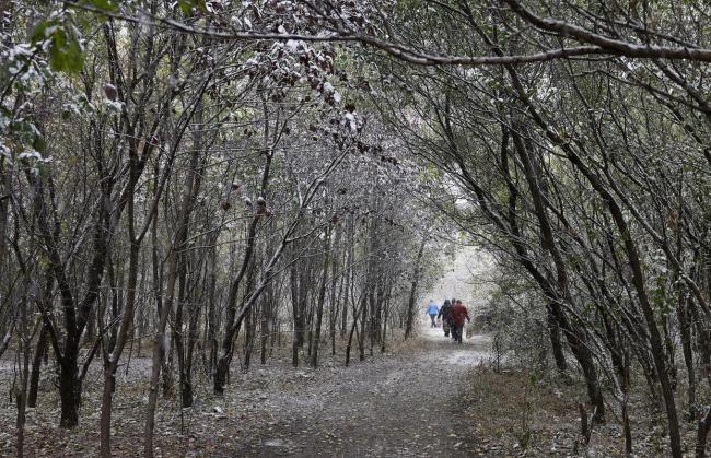 供暖“八仙过海”：有医院提前一个月应对寒潮
