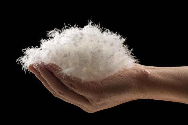 你了解自己的“过冬搭子”吗 羽绒服穿搭选购洗护全攻略