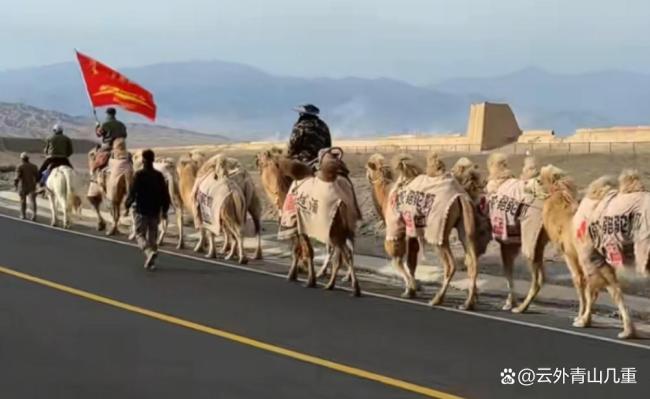 队长回应新疆20多人骑骆驼去洛阳 重走丝路传承文化