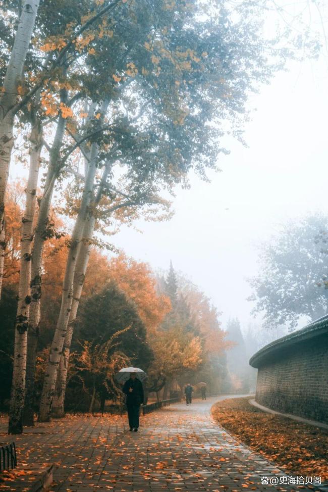 北京降溫快速入冬 忽如一夜冷風(fēng)來