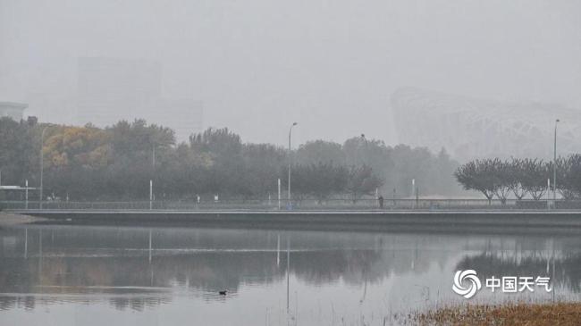 北京多区发布大雾黄色预警 早高峰出行受影响