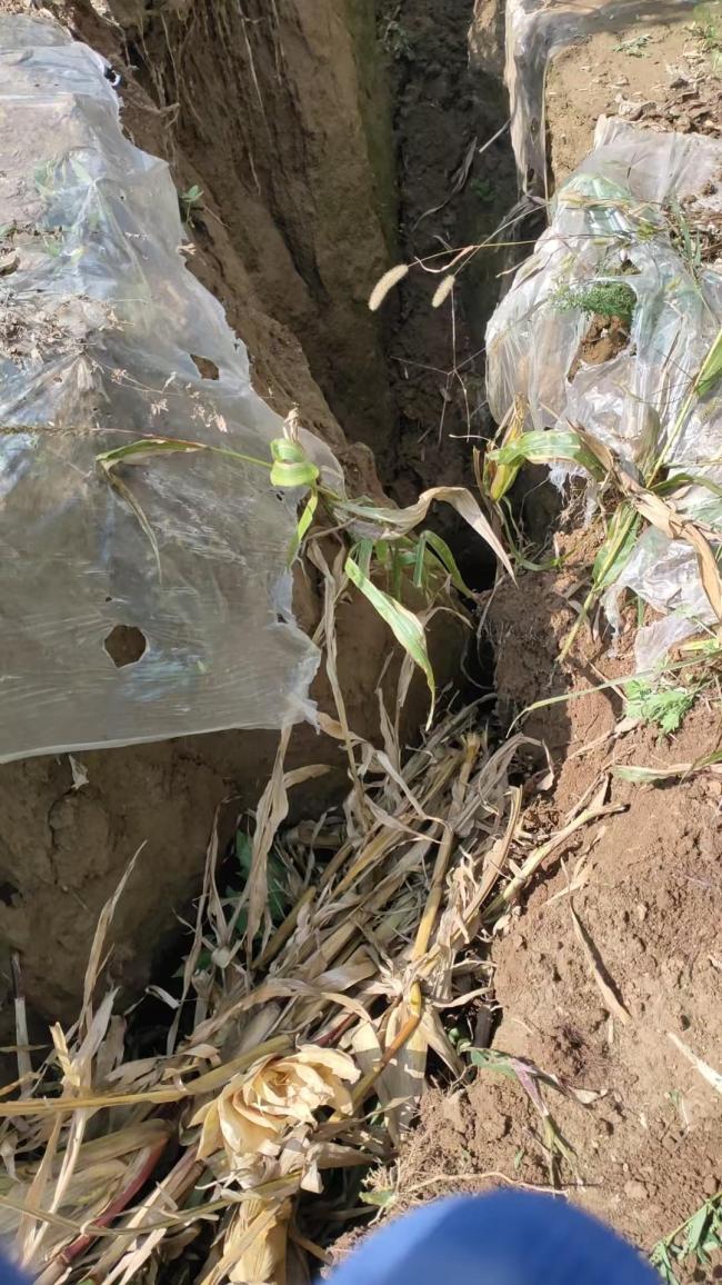 农妇失联前附近地表已有裂缝 山体坍塌致救援艰难