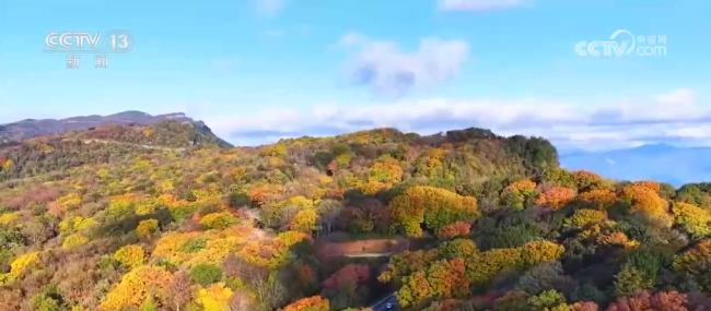 各地迎来秋日“限定版”美景 多彩画卷引客来