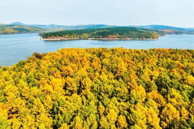 60以上游客净月潭重阳节免票 秋日盛装迎佳节