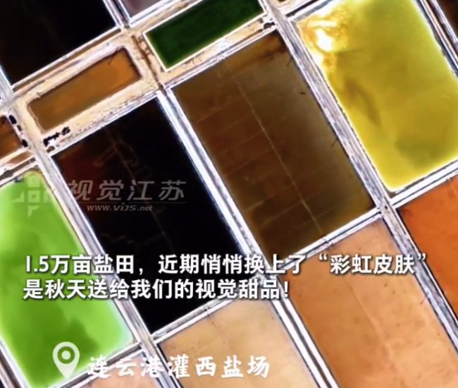 是谁打翻了秋日调色盘？连云港秋日限定七彩盐田美成调色盘