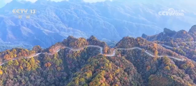 各地迎来秋日“限定版”美景 多彩画卷引客来