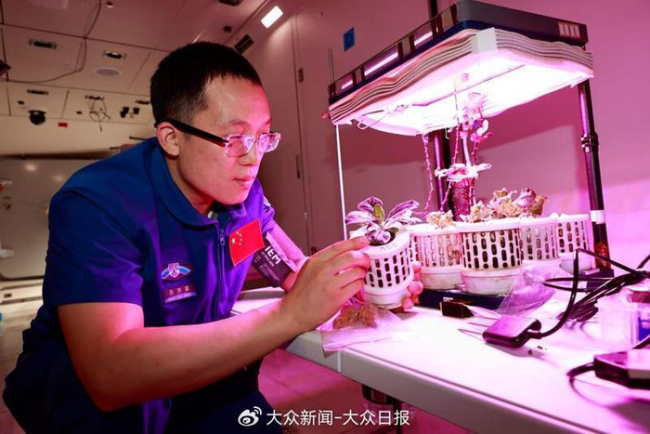 航天员张洪章天选太空打工人 科学家的飞天梦