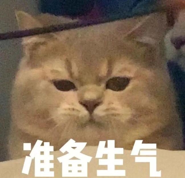 再见爱人5 芒果最强后期 分手情侣再聚首