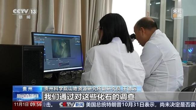 亚洲最长山洞再现6具大熊猫化石 揭示远古生态面貌