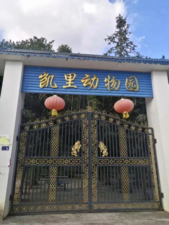 贵州凯里动物园火了 园长爷爷发声 爱心涌动改变命运