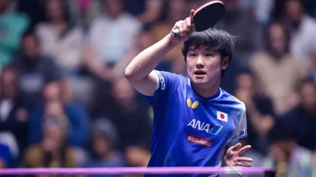 WTT法兰克福冠军赛男单签表 死亡半区竞争激烈